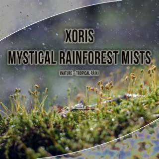 Mystical Rainforest Mists (Nature – Tropical Rain)