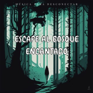 Escape Al Bosque Encantado: Música Para Desconectar