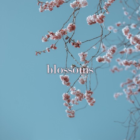 Blossoms