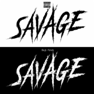 Savage ft. Wafi Houdini lyrics | Boomplay Music