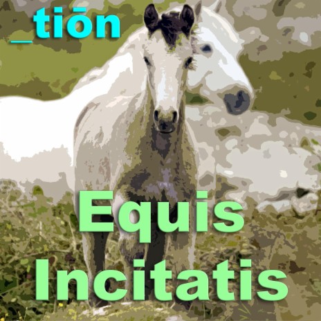 Equis Incitatis | Boomplay Music