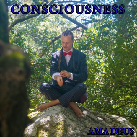 Consciousness