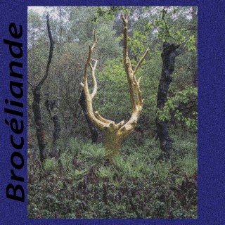 Broceliande