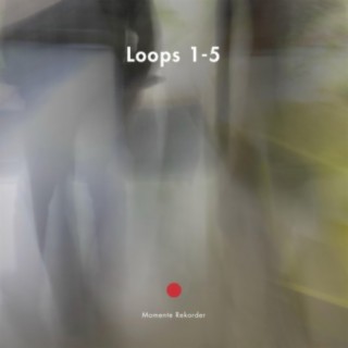 Loops 1-5