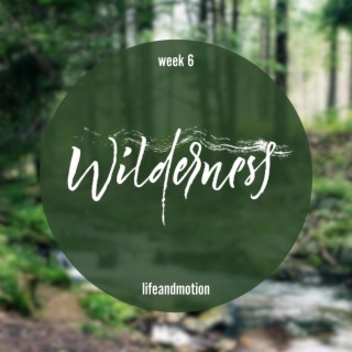 Wilderness Week 6