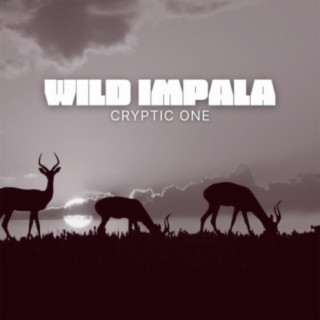 Wild Impala (feat. Matthew Jamison)