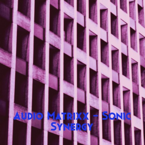 Sonic Synergy (Radio Edit) | Boomplay Music