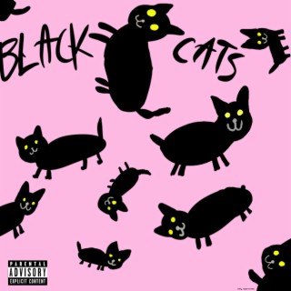 BLACK CATS.