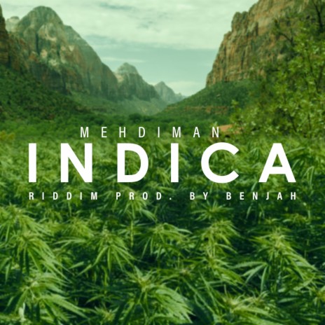 indica | Boomplay Music