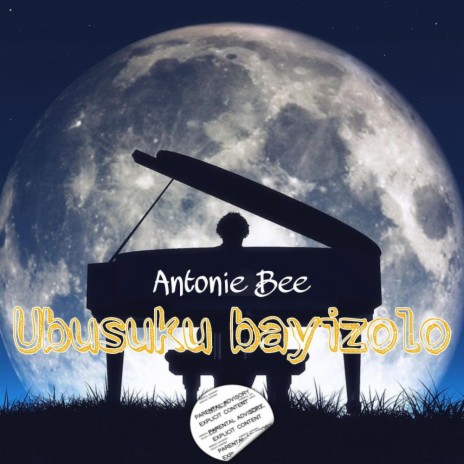 Ubusuku bayizolo ft. S.I.B | Boomplay Music
