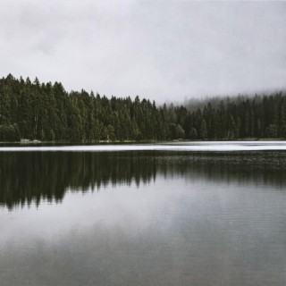 Calm Surface of the Water