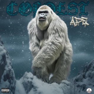 Coldest Ape (Freestyle)