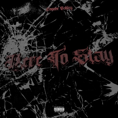 Here To Stay | Boomplay Music