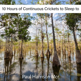 10 Hours of Continuous Crickets to Sleep to
