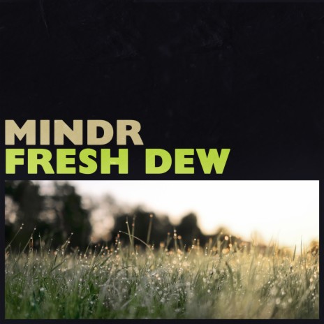 Fresh Dew | Boomplay Music