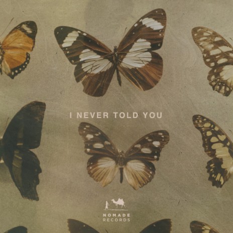 I Never Told You (Extended) | Boomplay Music