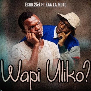 Wapi Uliko