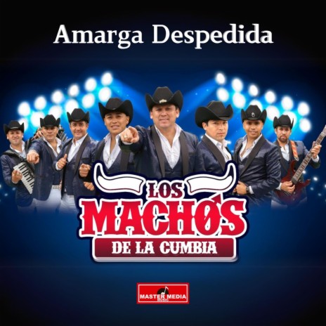 Amarga Despedida | Boomplay Music