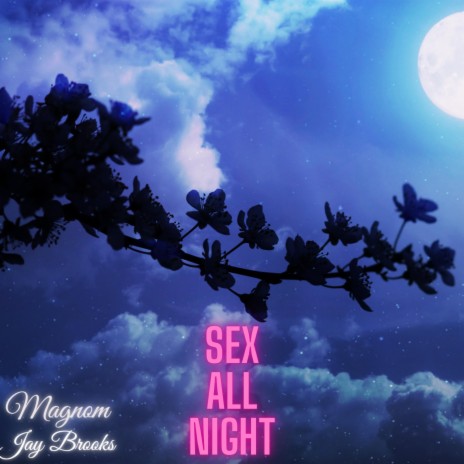 Sex All Night ft. Jay Brooks | Boomplay Music