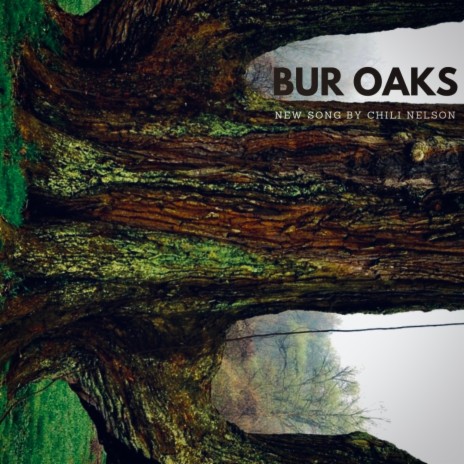 Bur Oaks | Boomplay Music