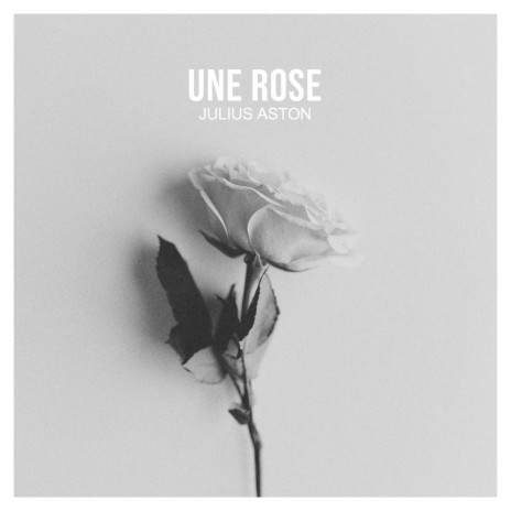 Une rose | Boomplay Music