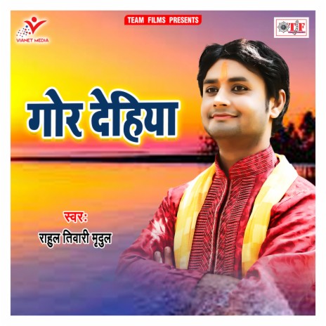 Bari Hamar Ho | Boomplay Music