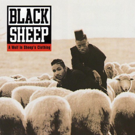 Black Sheep | Boomplay Music