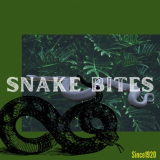 Snake Bites