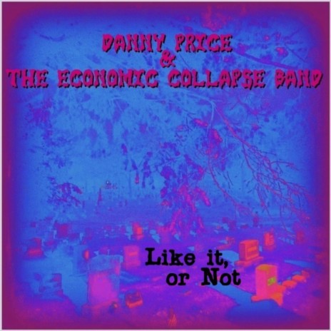 Like it, or Not ft. Danny Price & The Economic Collapse Band