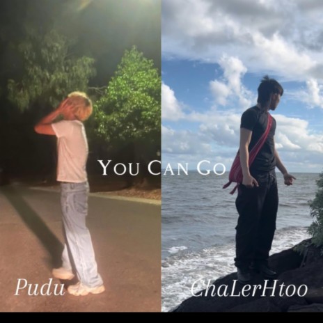 You Can Go ft. Pudu | Boomplay Music