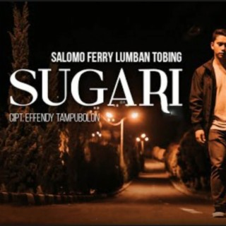 Salomo Ferry Lumban Tobing