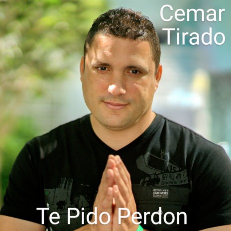 Te Pido Perdon | Boomplay Music