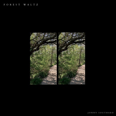 Forest Waltz | Boomplay Music