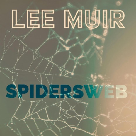 Spidersweb | Boomplay Music