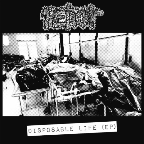 Disposable Life | Boomplay Music