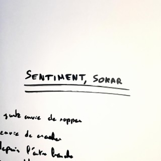 Sentiment lyrics | Boomplay Music