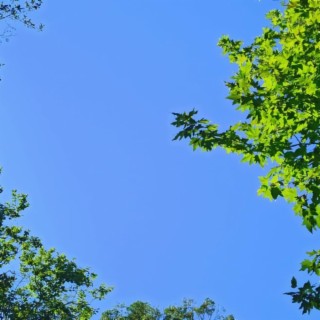 blue sky