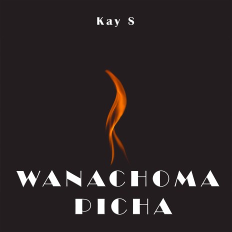 Wanachoma Picha (Radio Version) | Boomplay Music