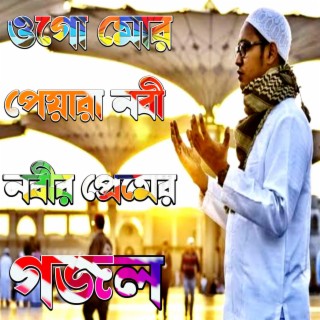 ওগো মোর পেয়ারা নবী তুমি