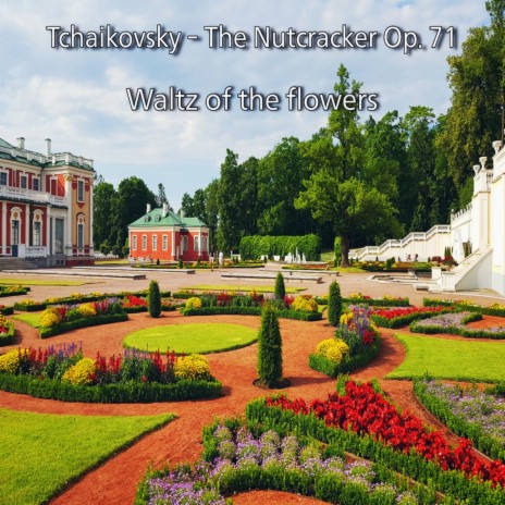 Tchaikovsky - The Nutcracker Op. 71 - Waltz of the flowers | Boomplay Music