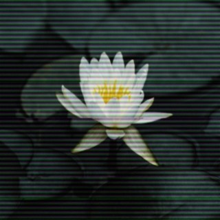 Lotus (feat. Aaron Rennel & Bill$up)