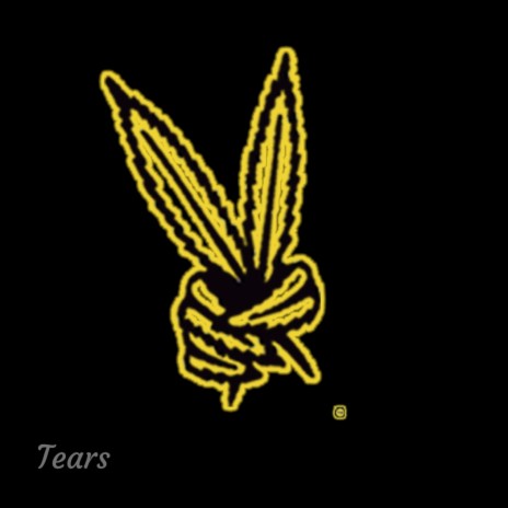 Tears | Boomplay Music