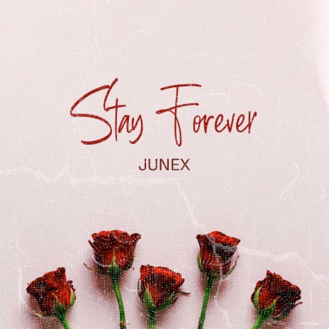 Stay Forever | Boomplay Music