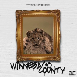 Winnebago County: 2013 (The Mixtape)