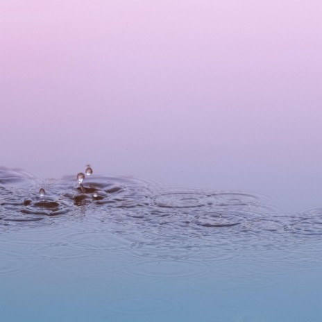 Reflections in a Rain Puddle