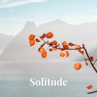 Solitude