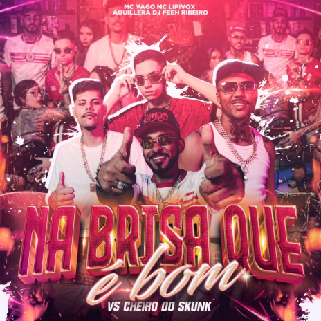 Na Brisa Que É Bom Vs Cheiro do Skunk ft. MC Lipivox, Dj Feeh Ribeiro & AGUILLERA | Boomplay Music