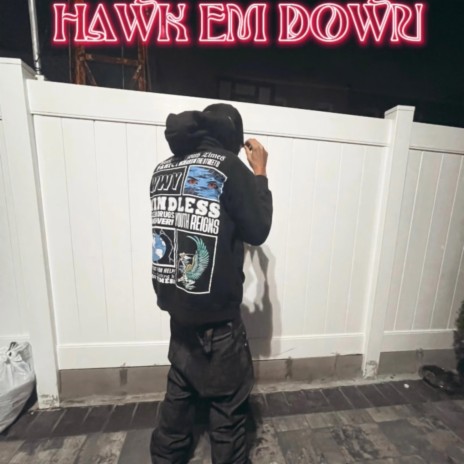 HAWK EM DOWN / RLLY LIKE DAT
