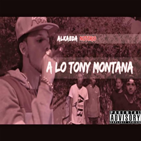 A Lo Tony Montana | Boomplay Music