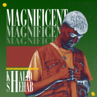 Magnificent ft. Shehab lyrics | Boomplay Music